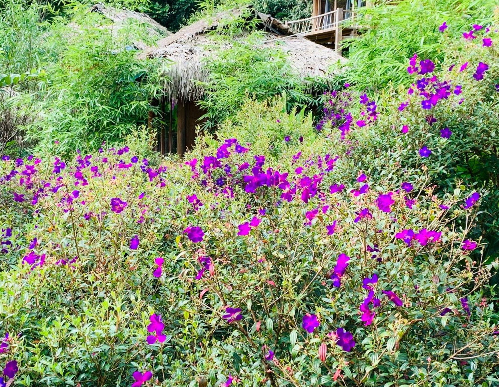 Pu Luong Cuisine Garden Homestay Lang Bang Exterior foto